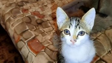 #Славянск. 30 сентября 2025г. Вечер.