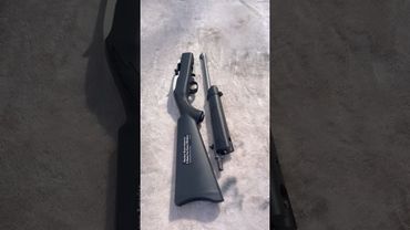 Ruger 10/22 Takedown Model