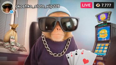 СТАВКА НА ЛУДОМАНИЮ / ИСТОРИЯ КАЗИНО (feat. Ноу Кэп)