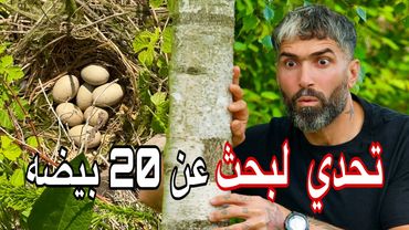 تحدي  البحث عن 20 بيضة في العش