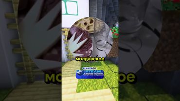 #мемы #кружки #рекомендации