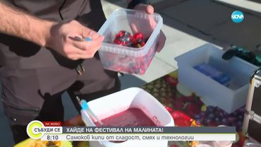 В Самоков започна Фестивал на малината