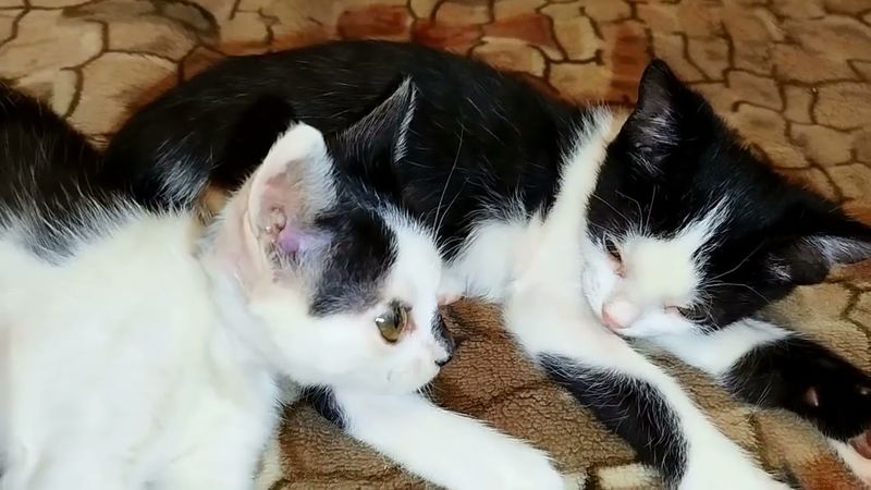 #Славянск. 13 августа 2025г. Вечер.