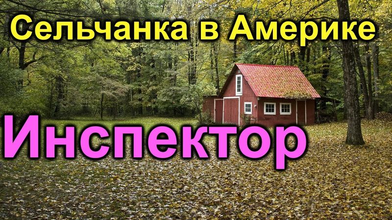 Сельчанка в Америке. Чудят