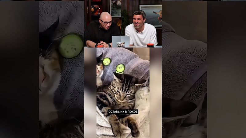 ЗАСМЕЯЛСЯ-ПОДПИСАЛСЯ Ч.115😂РЖАЛИ 3 ЧАСА!