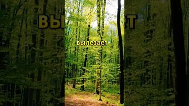 #цитатыосмысле #цитатыпрожизнь #мотивация #умныемысли #деньги