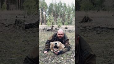 Как одолеть медведя обычной вилкой