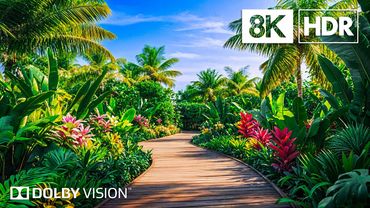 Captivating Earth Views in 8K HDR | Dolby Vision™