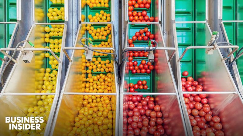 How A Tiny Country Became The 2nd Biggest Agricultural Exporter In The World