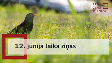 12. jūnija laika ziņas