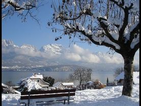 Трансляция №1 19 декабря