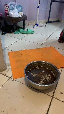 TikTok video #7553266380263509256