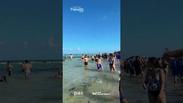 🌊 UNA BENDICIÓN AZUL Y ORO EN MIAMI 😎