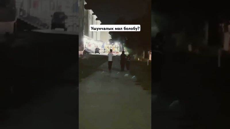 Ушул малды таанып билгендер барбы? #кыргыз #кыргызстан