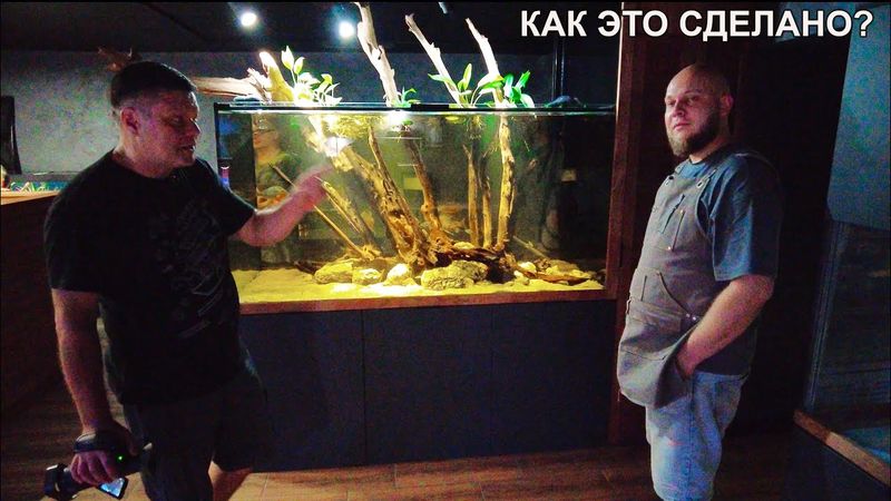 Как это сделано? Альберт все рассказал