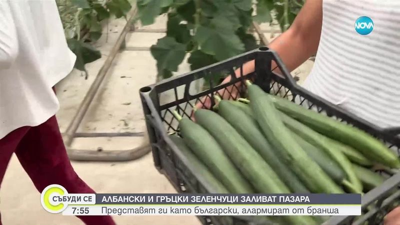 Албански и гръцки зеленчуци заливат пазара, търговци ги представят за български
