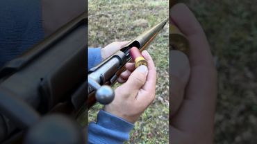 Is 12 gauge still a viable option? #pewpewlife #pewpew #airsoft #hunting #shorts #shortvideo