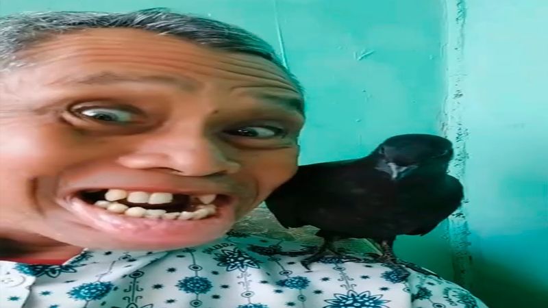 you laugh 1,5 times, you restart meme