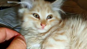 #Славянск. 10 августа 2025г. Вечер.