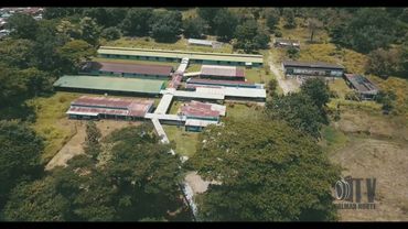 PALMAR NORTE TV - video de prueba