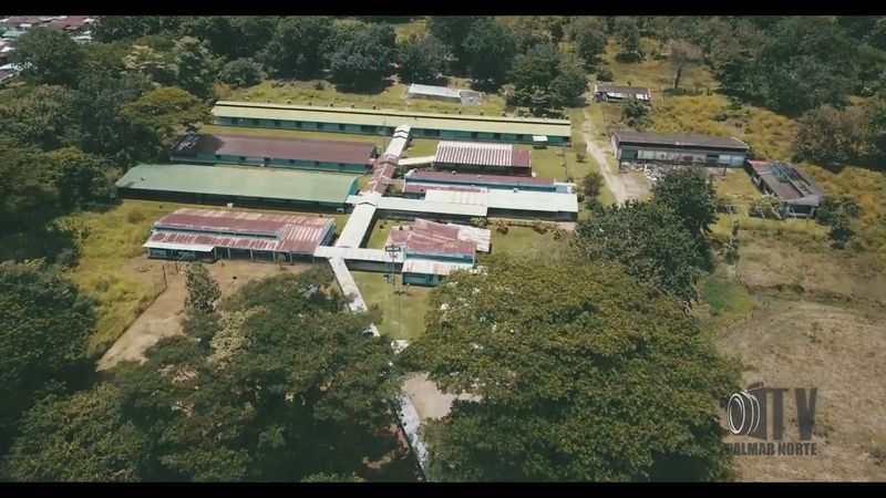 PALMAR NORTE TV - video de prueba