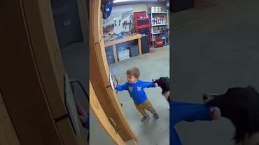 Heartwarming Dog Moments That Melt Your Soul 🐶❤️7#dog #funny #pets #baby #love #live #family