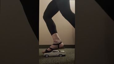 Special Request For Erin