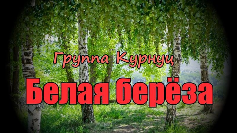 Formatia Curnut (Группа Курнуц) - Белая берёза (дворовые песни) #курнуц #curnut