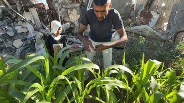 Displaced Gaza farmer grows vegetables amid dire shortages | AFP