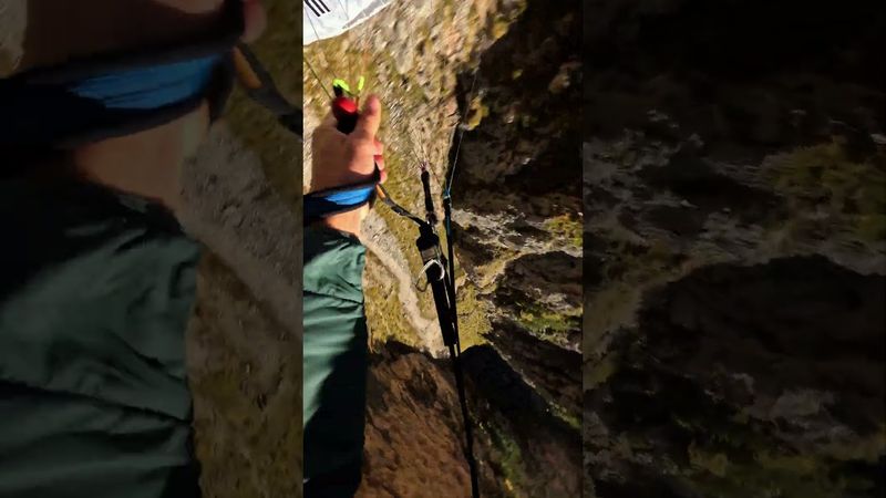 Scenic Autumn Speedfly 🎬 Gabriel Molitor #Shorts #POV