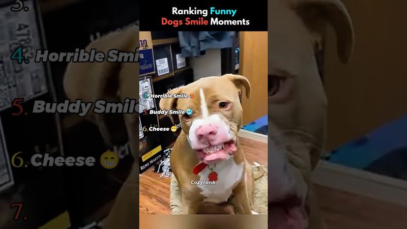 لا تتحقق من الصوت 😭😭