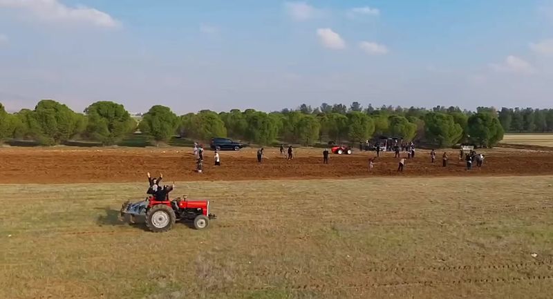 bu taş duvarların, bu güneşin arasından. buralardan bi "cihal" geçti ...