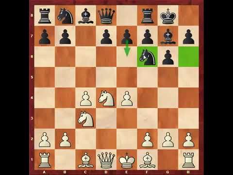 233 . وسط بازی در شطرنج - ترم 14 ( قسمت 21)