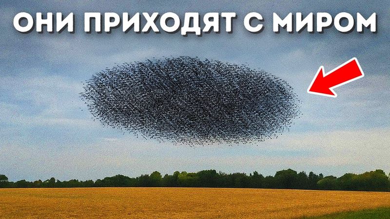 Если вы видите это в небе, значит, приближается нечто серьезное