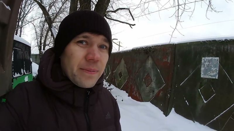 кормление птиц