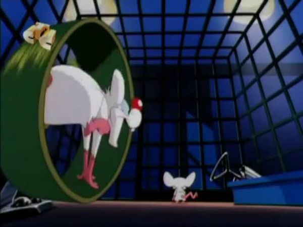 Эй, Брейн, чем мы будем заниматься сегодня вечером?