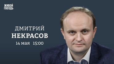 Когда компании вернутся в Россию? Угроза новых санкций. Дмитрий Некрасов: Персонально ваш / 14.05.25