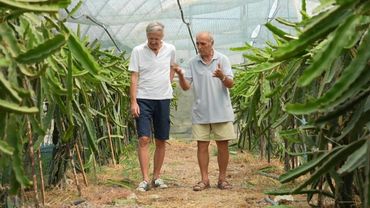 Albania eyes up growing exotic fruit for Europe | AFP