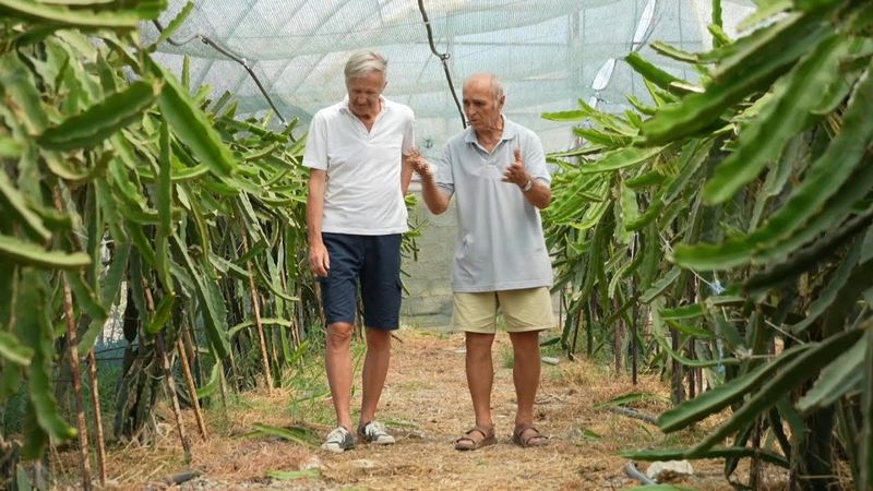 Albania eyes up growing exotic fruit for Europe | AFP