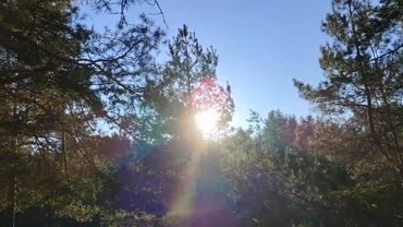 Работа  по найму в организации - это современная форма рабства. 1 часть видео