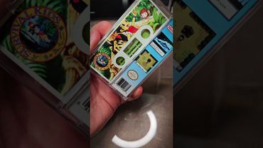 O Game Boy Color tinha um simulador de sobrevivência completo. E quase ninguém fala sobre ele. #j...