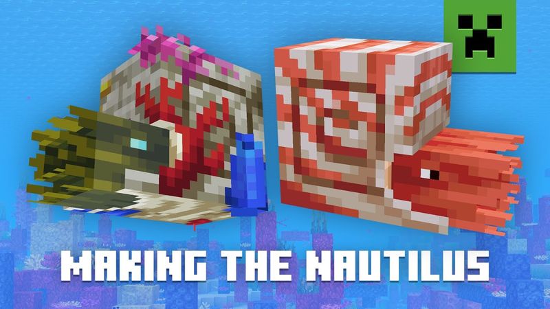 ALL ABOUT THE NAUTILUS