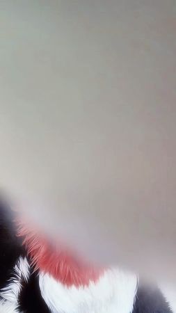 ”lick lick👅 ”🍰🍭🍫☁ #furry #Kemono #Fursuit #ケモノ着ぐるみ #ケモノ 