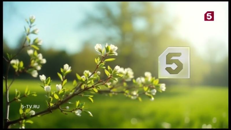 Рекламные заставки (Пятый канал, весна 2025)