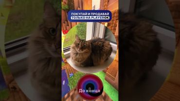 #шуточное #кружкитг #смешновидео #угарныевидосы