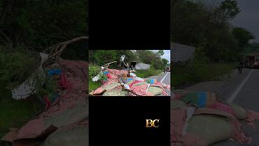 Hot dog spill shuts down highway in Pennsylvania