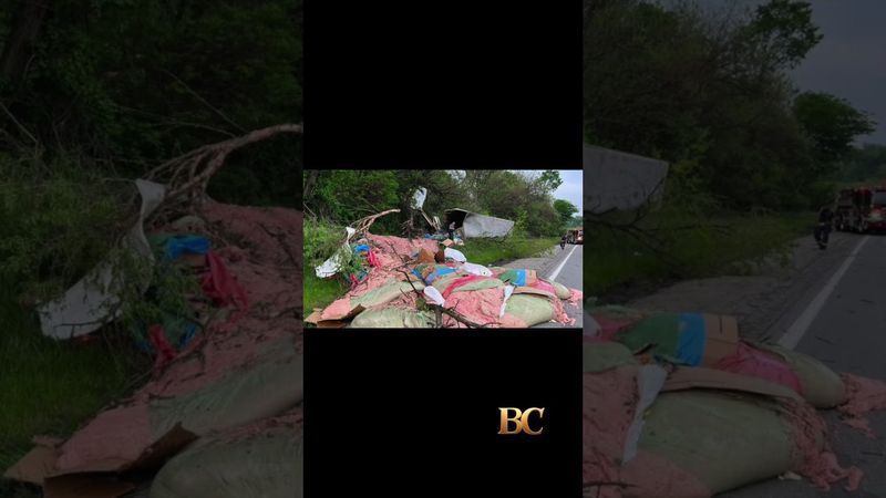 Hot dog spill shuts down highway in Pennsylvania