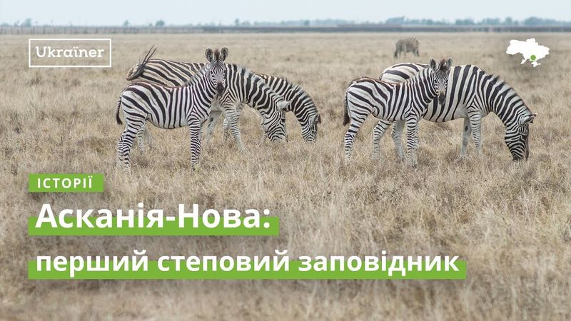 Асканія-Нова: перший степовий заповідник · Ukraїner