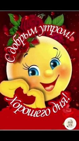 TikTok video #7026058364291484930