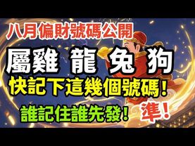 屬雞 屬龍 屬兔 属狗的人注意 八月偏財號碼千萬別錯過 ，快記下這幾個號碼！財運一飛衝天！#生肖  #運勢  #玄學 #風水